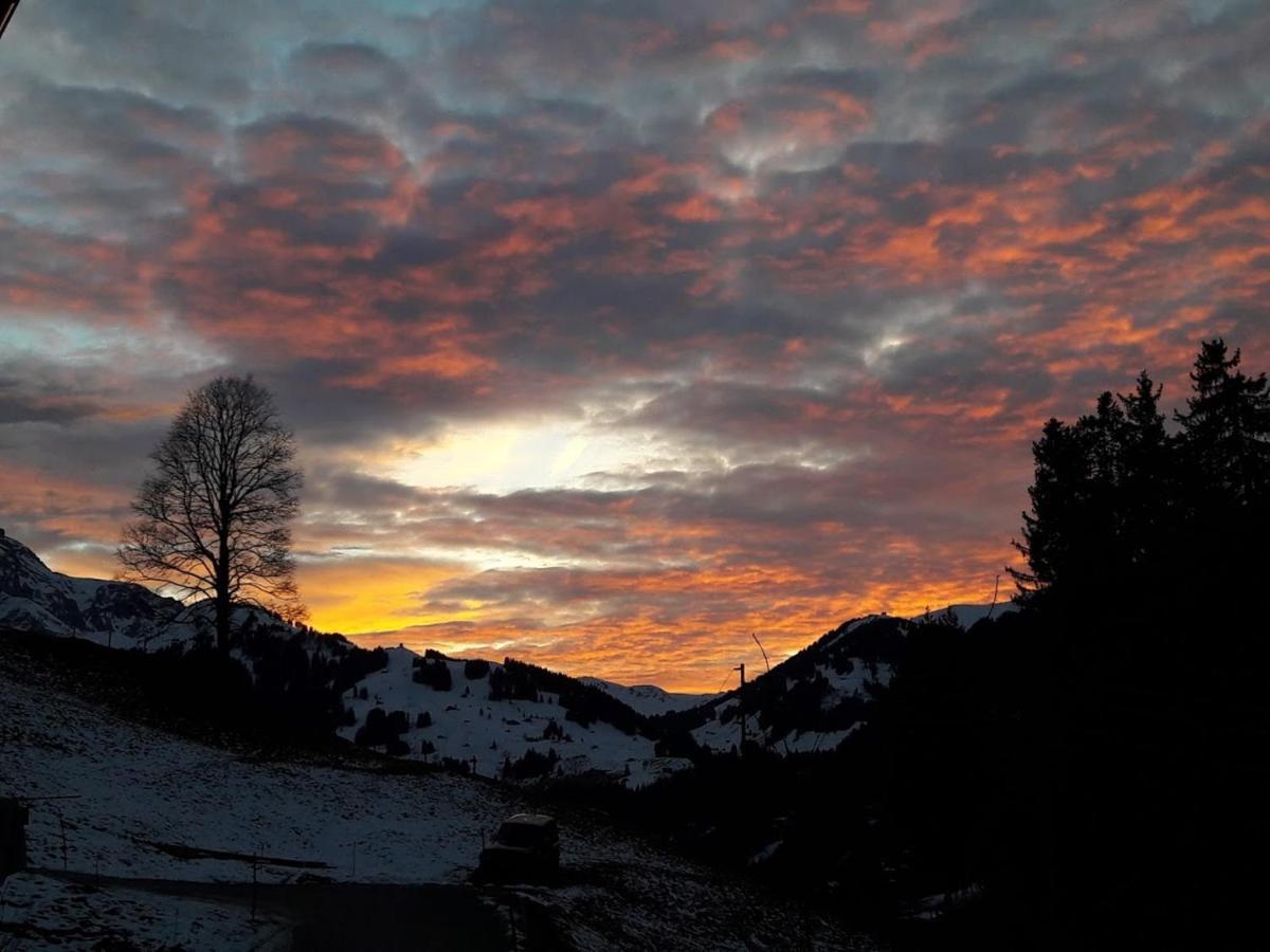 Ferien In Der Bergwelt Von Adelboden Bed and Breakfast Εξωτερικό φωτογραφία
