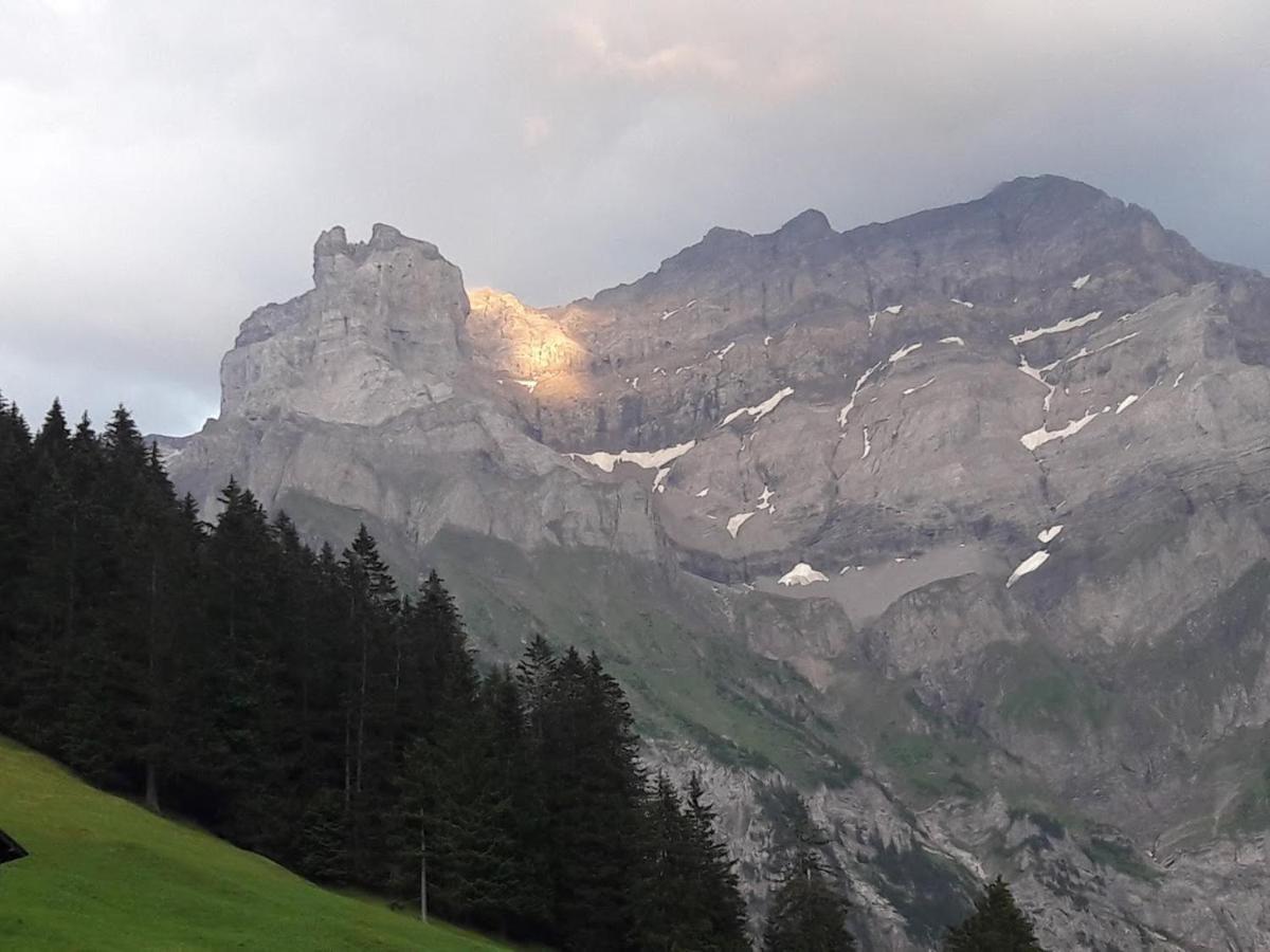 Ferien In Der Bergwelt Von Adelboden Bed and Breakfast Εξωτερικό φωτογραφία