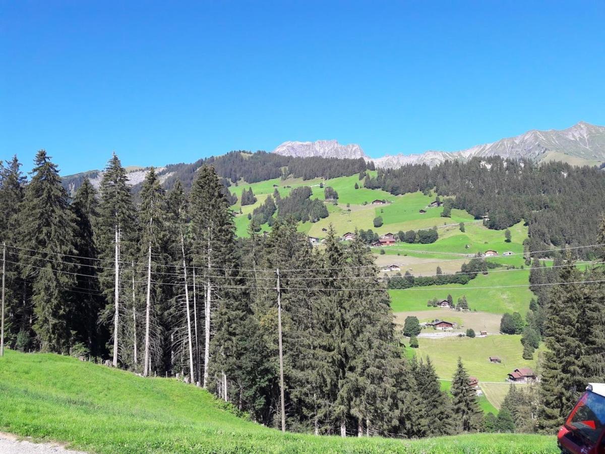 Ferien In Der Bergwelt Von Adelboden Bed and Breakfast Εξωτερικό φωτογραφία